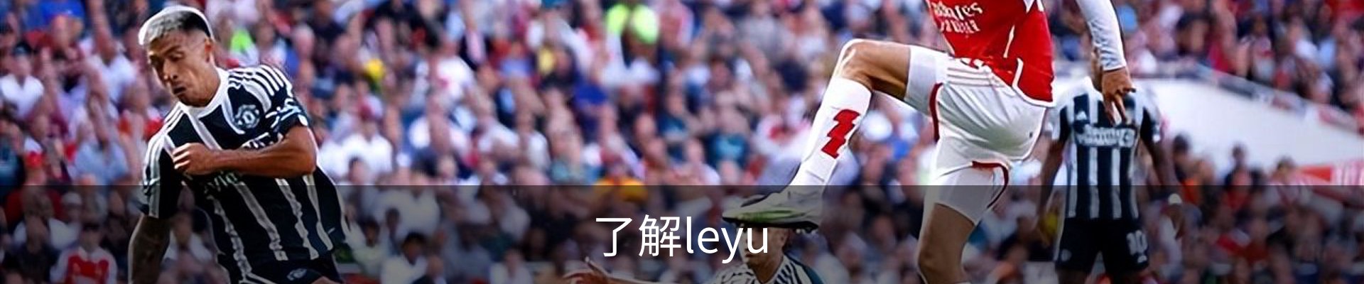 了解leyu
