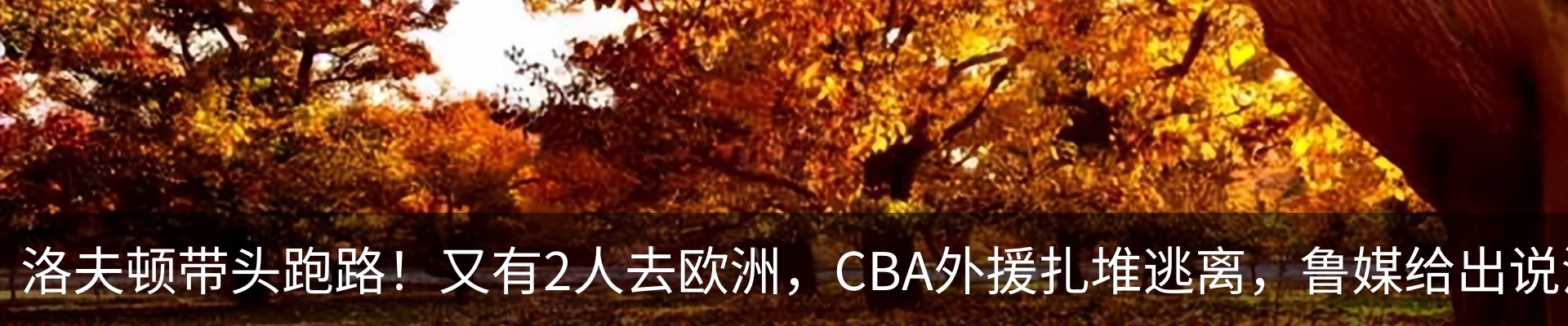 行业资讯